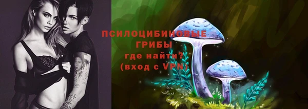 jwh Ладушкин