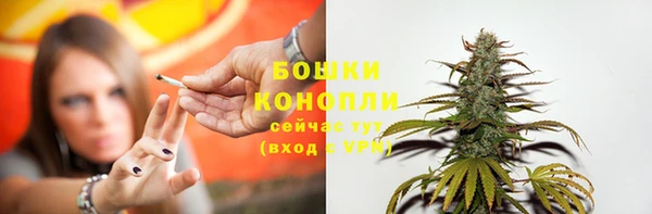 сатива Кукмор