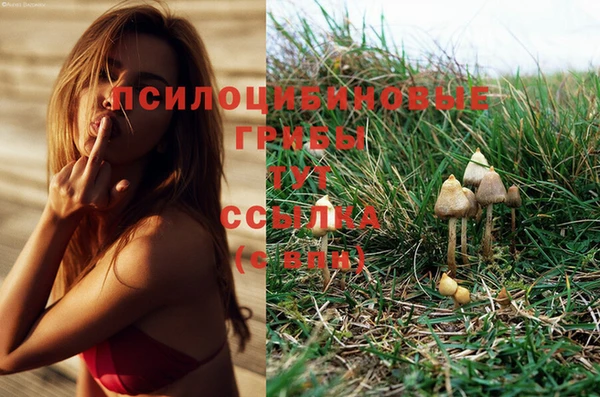 дурь Лагань