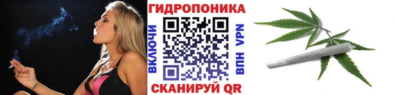 mega ССЫЛКА Межгорье Бошки марихуана индика где найти наркотики